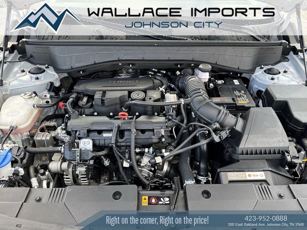 2024 Hyundai Kona Limited